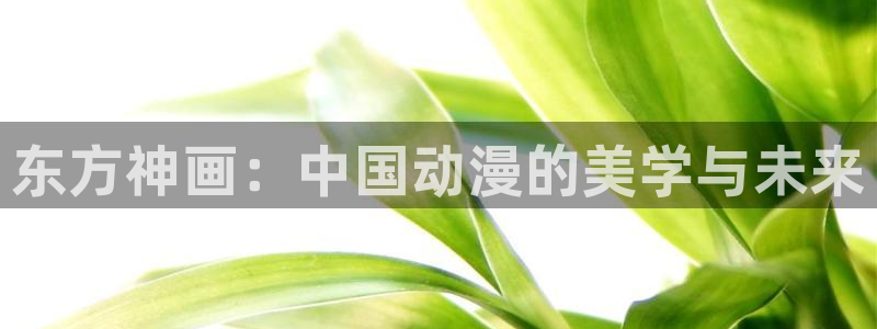 韩国漫画推荐：东方神画：中国动漫的美学与未来配图
