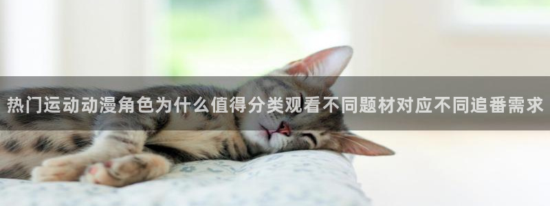 韩漫漫画更新列表：热门运动动漫角色为什么值得分类观看不同题材对应不同追番需求配图