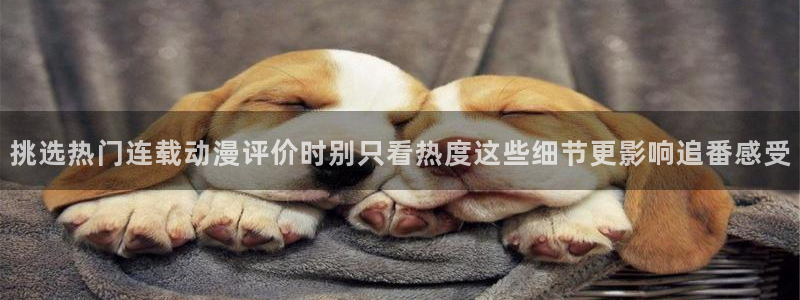 韩漫漫画手机网站:挑选热门连载动漫评价时别只看热度这些细节更影响追番感受配图