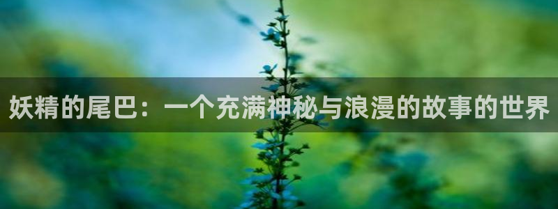 韩漫穿越漫画推荐:妖精的尾巴:一个充满神秘与浪漫的故事的世界配图