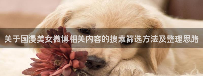 韩漫青春漫画:关于国漫美女微博相关内容的搜索筛选方法及整理思路配图